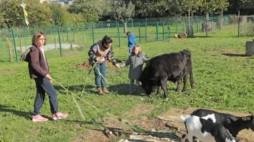 Mercredis de novembre 2019