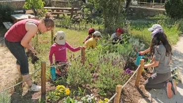 Mercredis de mai 2019