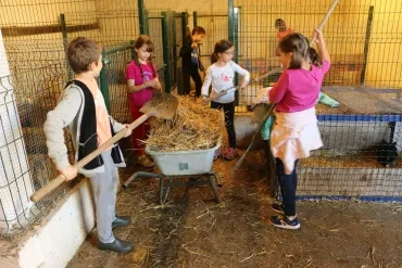 Vacances d'automne - 28 au 31 octobre 2019