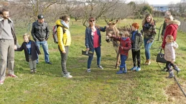 Matinée Parents 09-02-2019