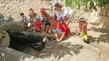 Vacances d'été - 13 au 17 août 2018