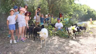 Vacances d'été - 7 au 11 août 2023
