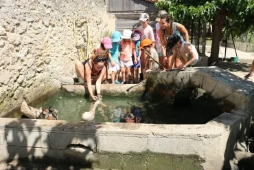 Vacances d'été - 9 au 13 juillet 2018