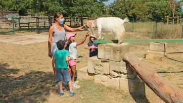 Vacances d'été - 27 au 31 juillet 2020
