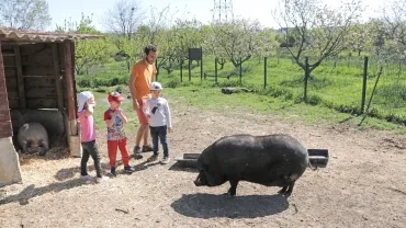 Vacances de printemps - 16 au 20 avril 2018
