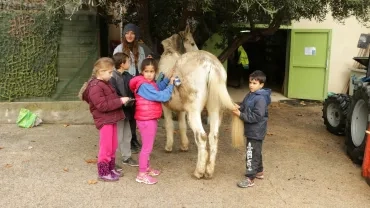 Mercredis de novembre 2016