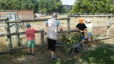 Vacances d'été - 31 juillet au 4 août 2017