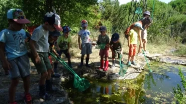 Vacances d'été - 26 au 30 juillet 2021