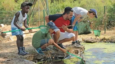 Vacances d'été - 22 au 26 juillet 2019