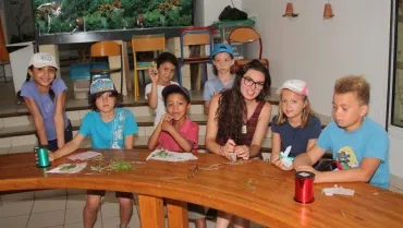 Vacances d'été - 25 au 29 juillet 2016