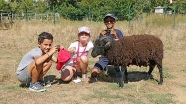 Vacances d'été - 13 au 17 août 2018
