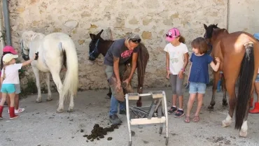 Vacances d'été - 25 au 29 juillet 2016