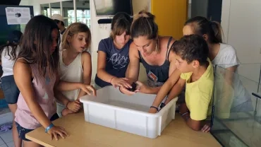 Vacances d'été - 16 au 20 juillet 2018