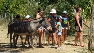 Vacances d'été - 28 au 29 juillet 2022