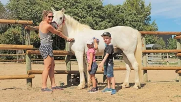 Vacances d'été - 12 au 14 août 2019