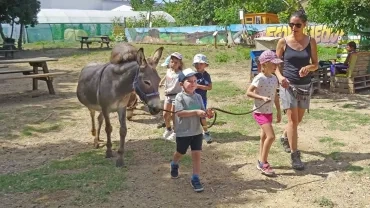 Vacances d'été - 12 au 16 juillet 2021