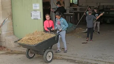 Mercredis d'octobre 2020