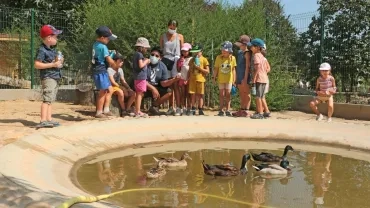 Vacances d'été - 27 au 31 juillet 2020