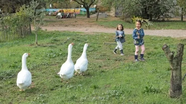 Vacances d'automne - 21 au 25 octobre 2019