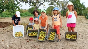 Vacances d'été - 26 au 30 août 2019