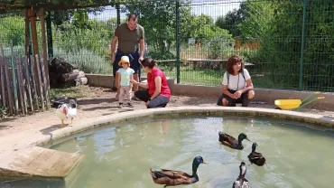 Matinée Parents 15-06-2024