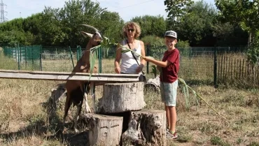 Vacances d'été - 25 au 29 juillet 2016
