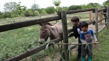 Mercredis de juin 2016
