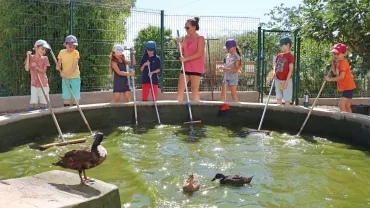 Vacances d'été - 11 au 15 juillet 2022