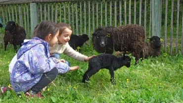 Mercredis d'avril 2022