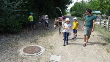 Vacances d'été - 26 au 30 juillet 2021