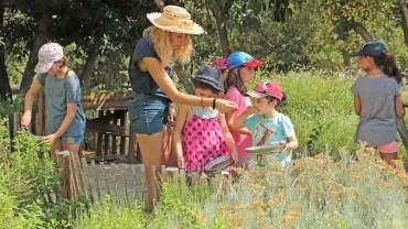 Vacances d'été - 22 au 26 juillet 2019