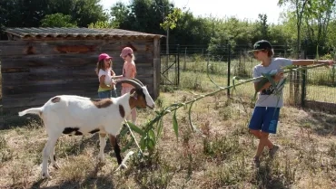 Vacances d'été - 25 au 29 juillet 2016
