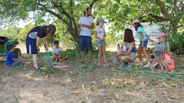 Vacances d'été - 18 au 22 juillet 2022