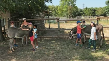 Vacances d'été - 9 au 13 aout