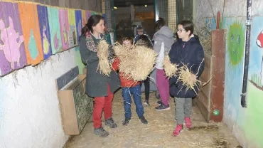 Mercredis de janvier 2019