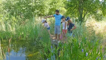 Vacances d'été - 16 au 20 juillet 2018