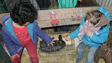 Mercredis de janvier 2019