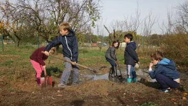 Mercredis de novembre 2016