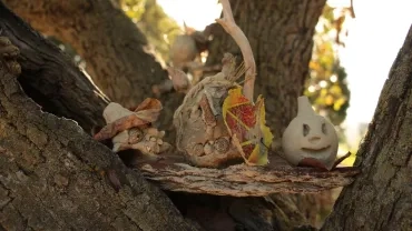 Vacances d'automne - 28 au 31 octobre 2024