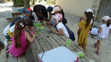 Vacances d'été - 19 au 23 juillet 2021