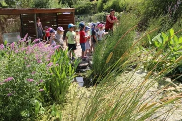 Vacances d'été - 15 au 19 juillet 2019