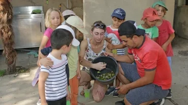Mercredis de septembre 2018