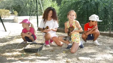 Vacances d'été - 16 au 18 août 2017