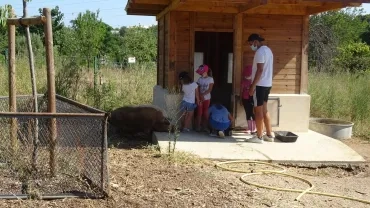 Vacances d'été - 26 au 30 juillet 2021