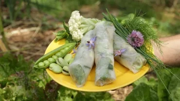 Mercredis de mai 2018