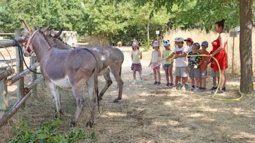 Vacances d'été - 18 au 22 juillet 2022