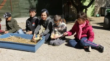 Mercredis d'avril 2017