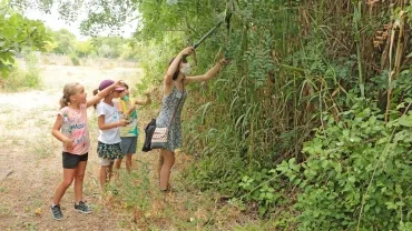 Vacances d'été - 27 au 31 juillet 2020