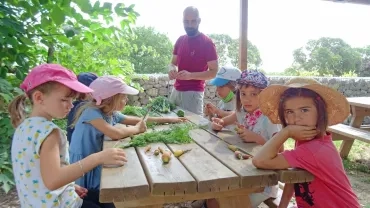 Vacances d'été - 12 au 16 juillet 2021