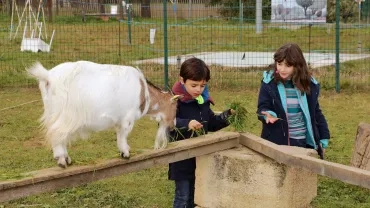Mercredis de janvier 2019